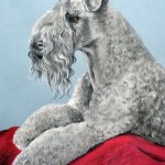 Brogan, Kerry Blue Terrier