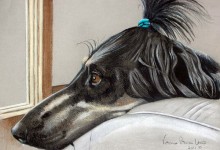 Uma, Afghan Hound [Prints available. Limited edition of 50]